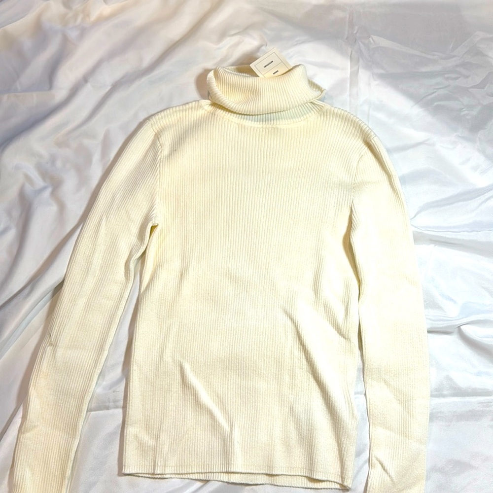 Urban Outfitters Fitted Turtleneck Sweater